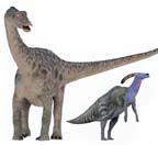 apatosaurus and hadrosaurus